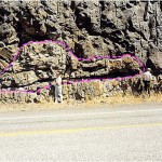 Figura 11 – Tronco de árvore fossilizada, entre dois derrames basálticos – GRC – Hwy-14 – margem direita do Rio Colúmbia, Washington (EUA). Notar corte transversal do tronco