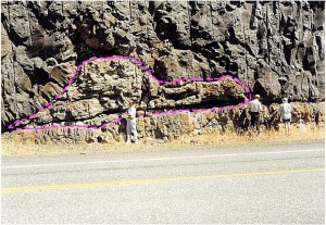 Figura 11 – Tronco de árvore fossilizada, entre dois derrames basálticos – GRC – Hwy-14 – margem direita do Rio Colúmbia, Washington (EUA). Notar corte transversal do tronco